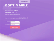 Tablet Screenshot of boiteamale.com